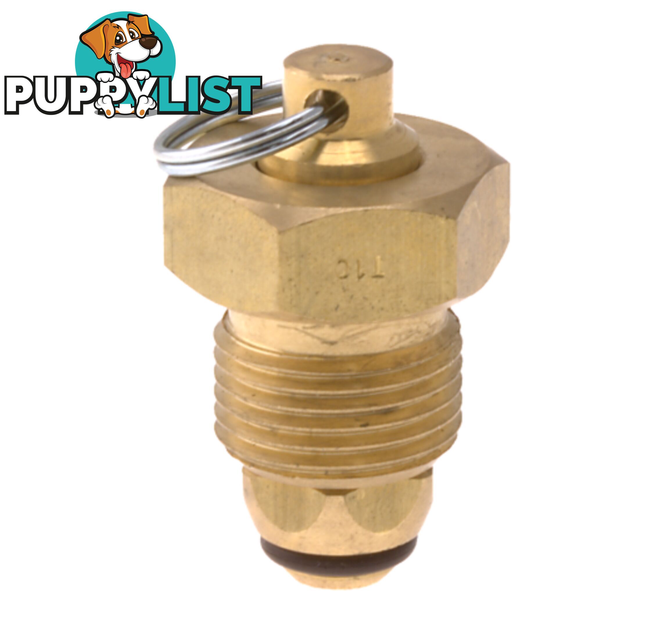 Blanking Plug Brass Tesuco