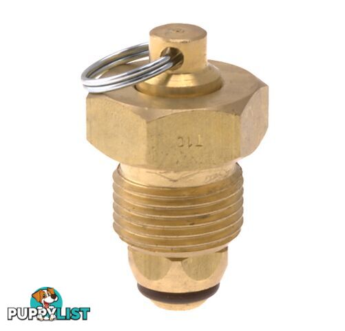 Blanking Plug Brass Tesuco