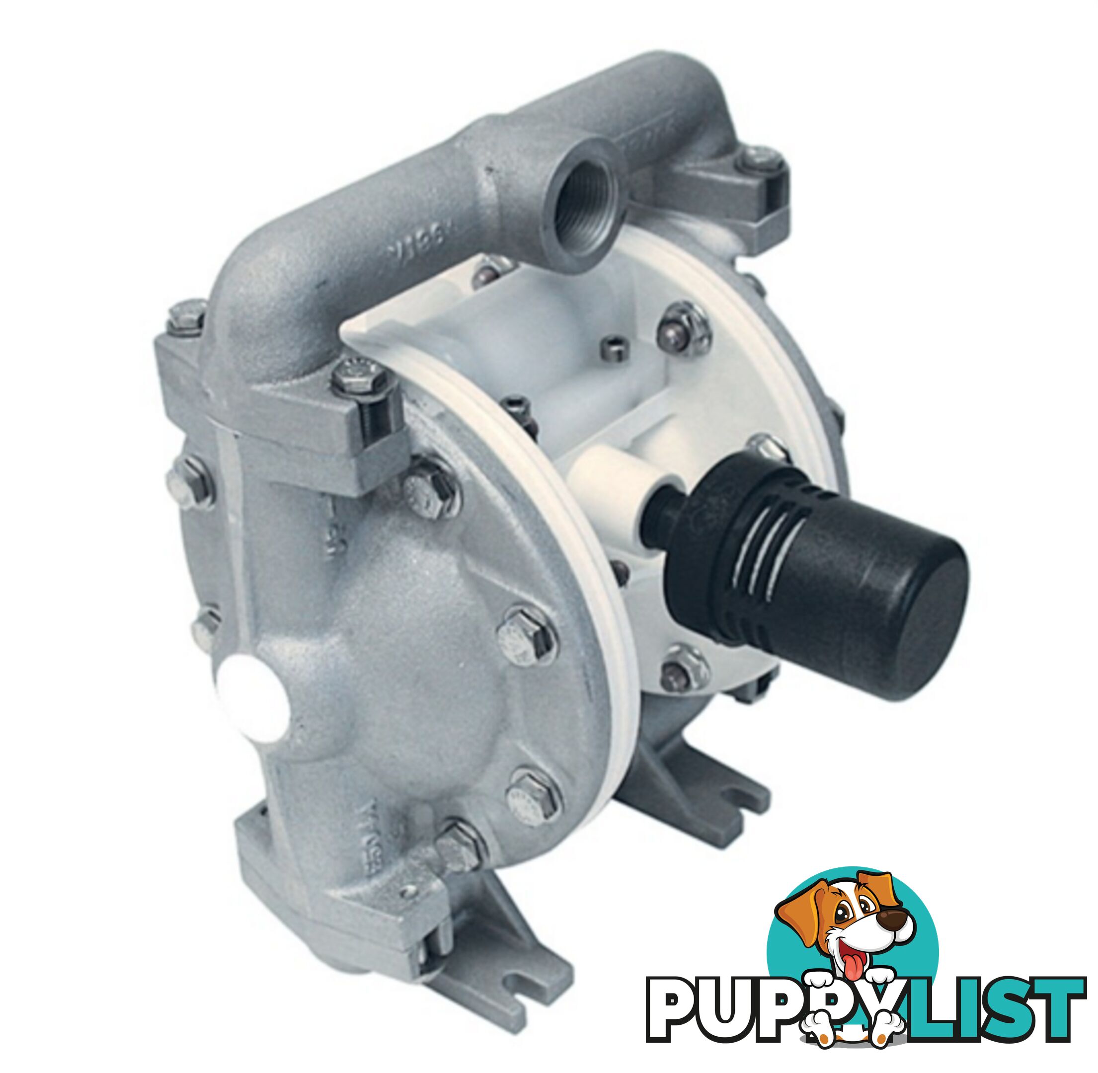 3/4" Air Operated DIAPHRAGM PUMP