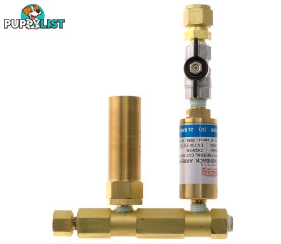 Safety Relief Valve System Oxygen 1,300 kPa