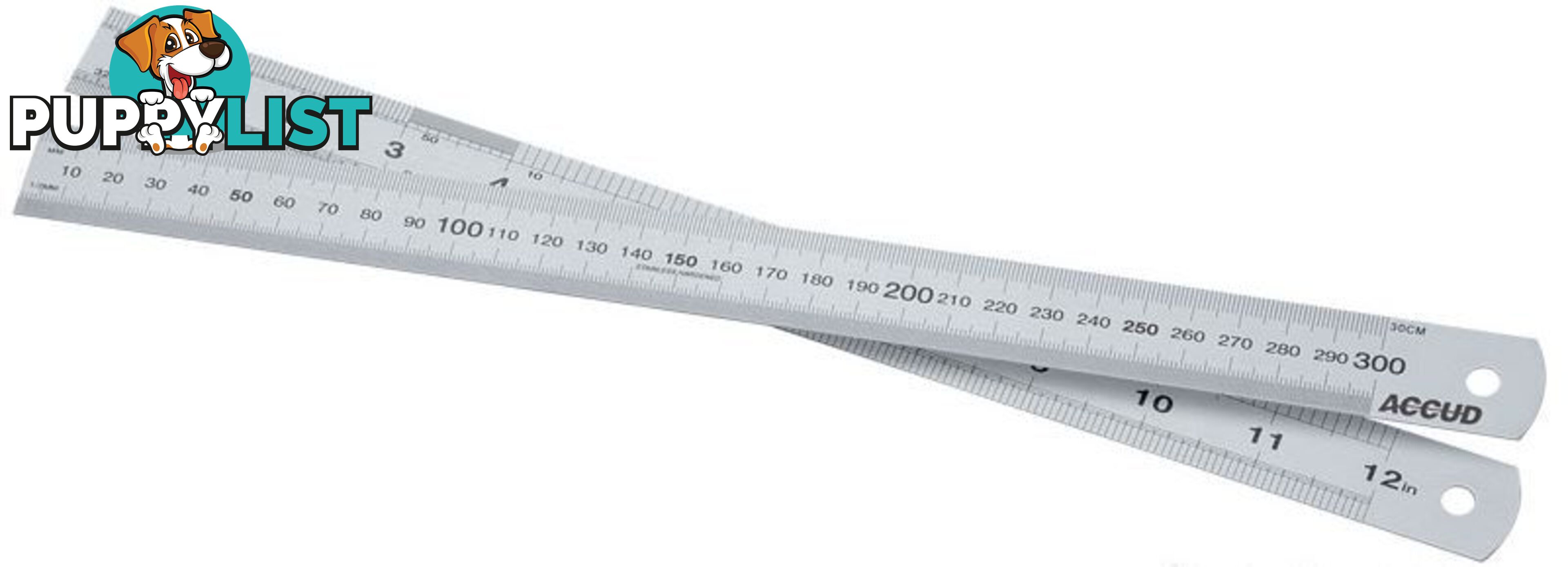 300mm Ruler Stainless Steel AC-990-012-11