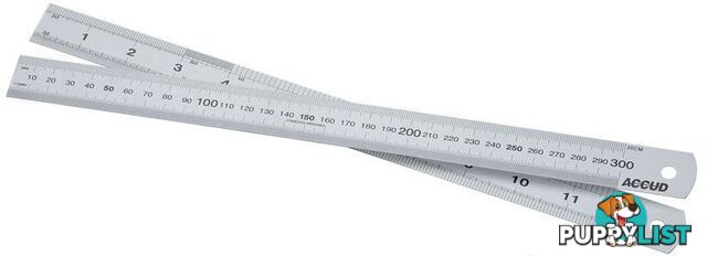 300mm Ruler Stainless Steel AC-990-012-11