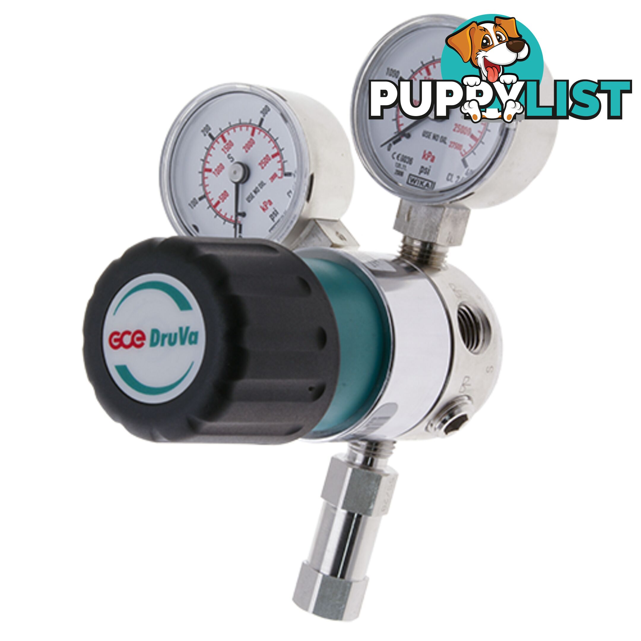 Single Stage DruVa 1S Regulator 6.0 Purity Chrome Plated In: 23,000 kPa Out: 1,400 kPa