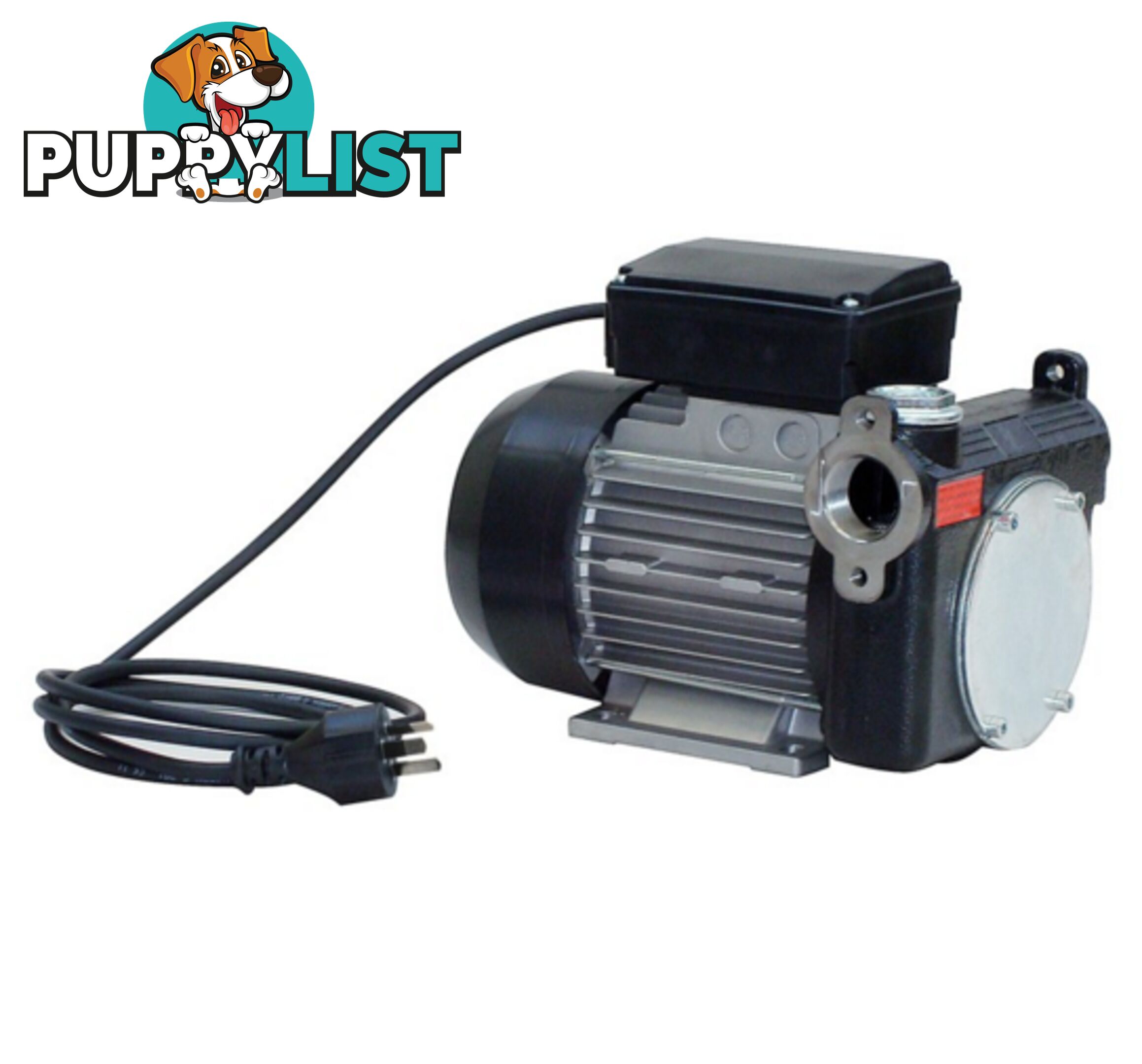 240V 100 LPM High Flow Diesel Pump