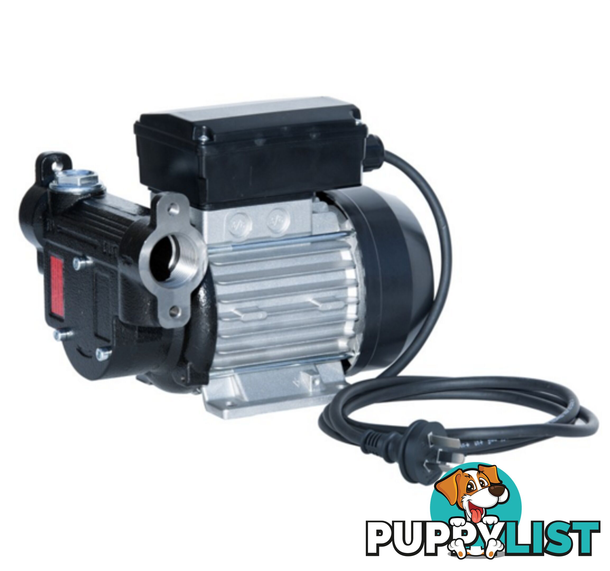 240V 70 LPM High Flow Diesel Pump