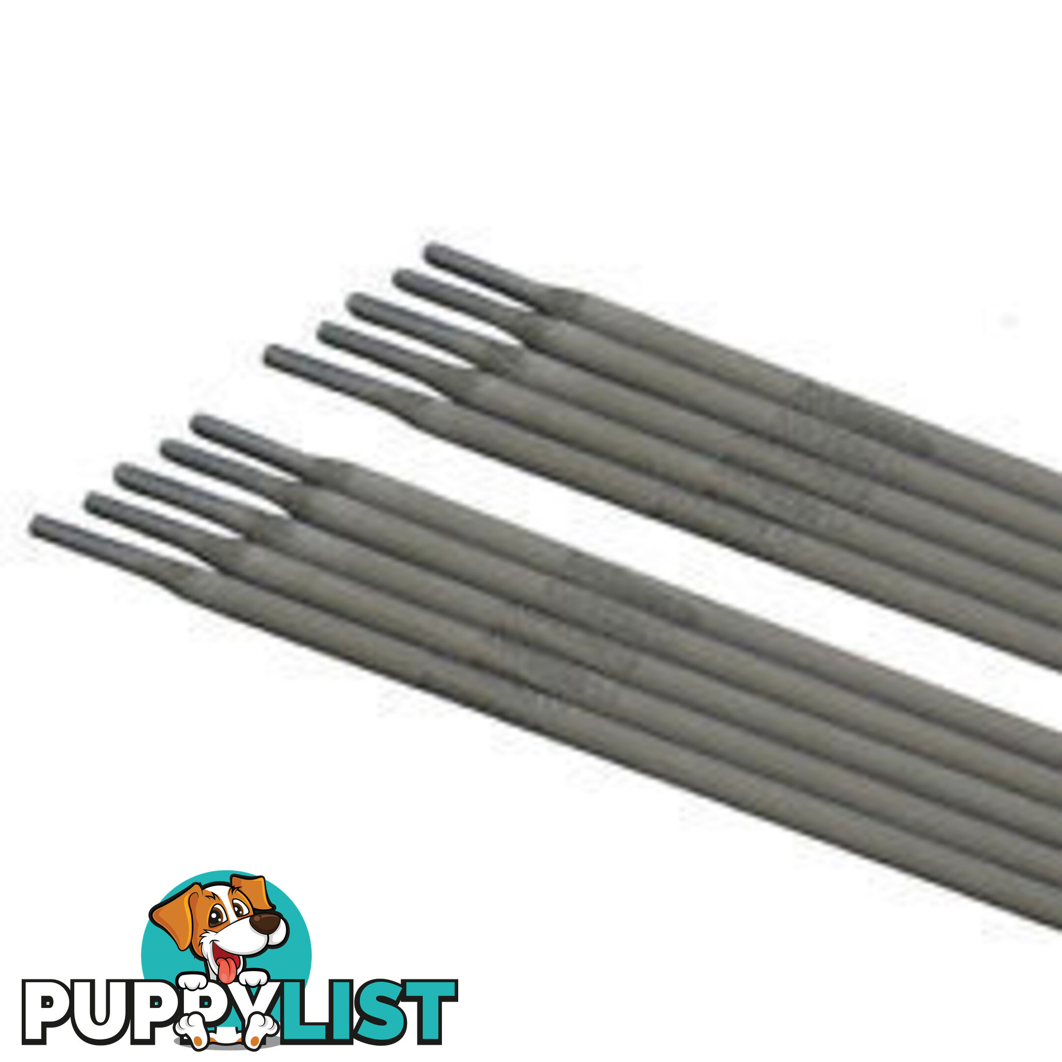 Stainless Steel Electrode E310