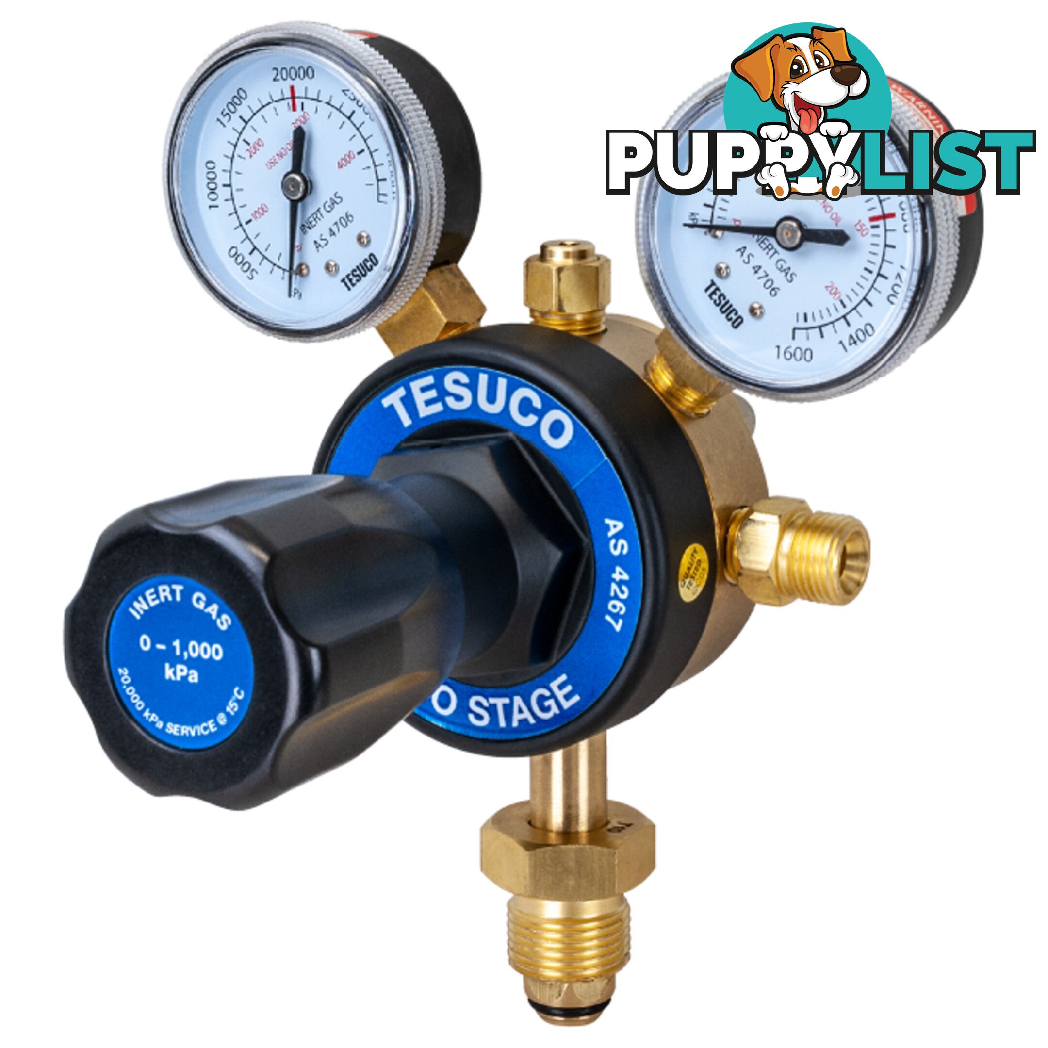 Regulator Nitrogen/Inert Gas 2 Stage Bottom Entry RT2BIG10