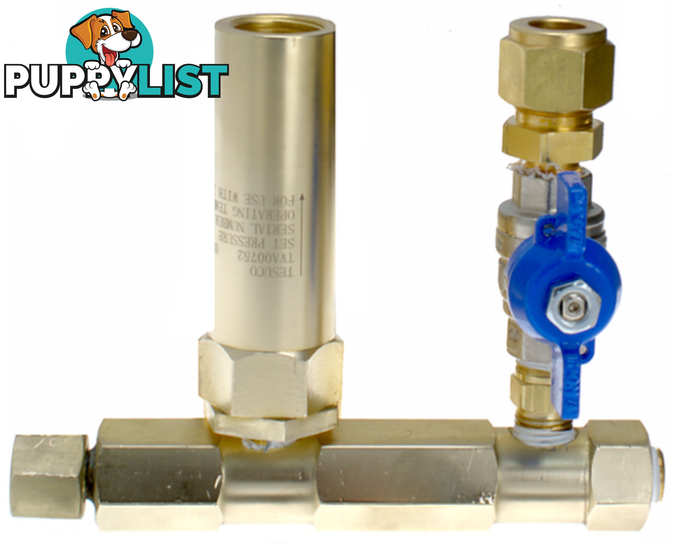Safety Relief Valve System Fuel Gas