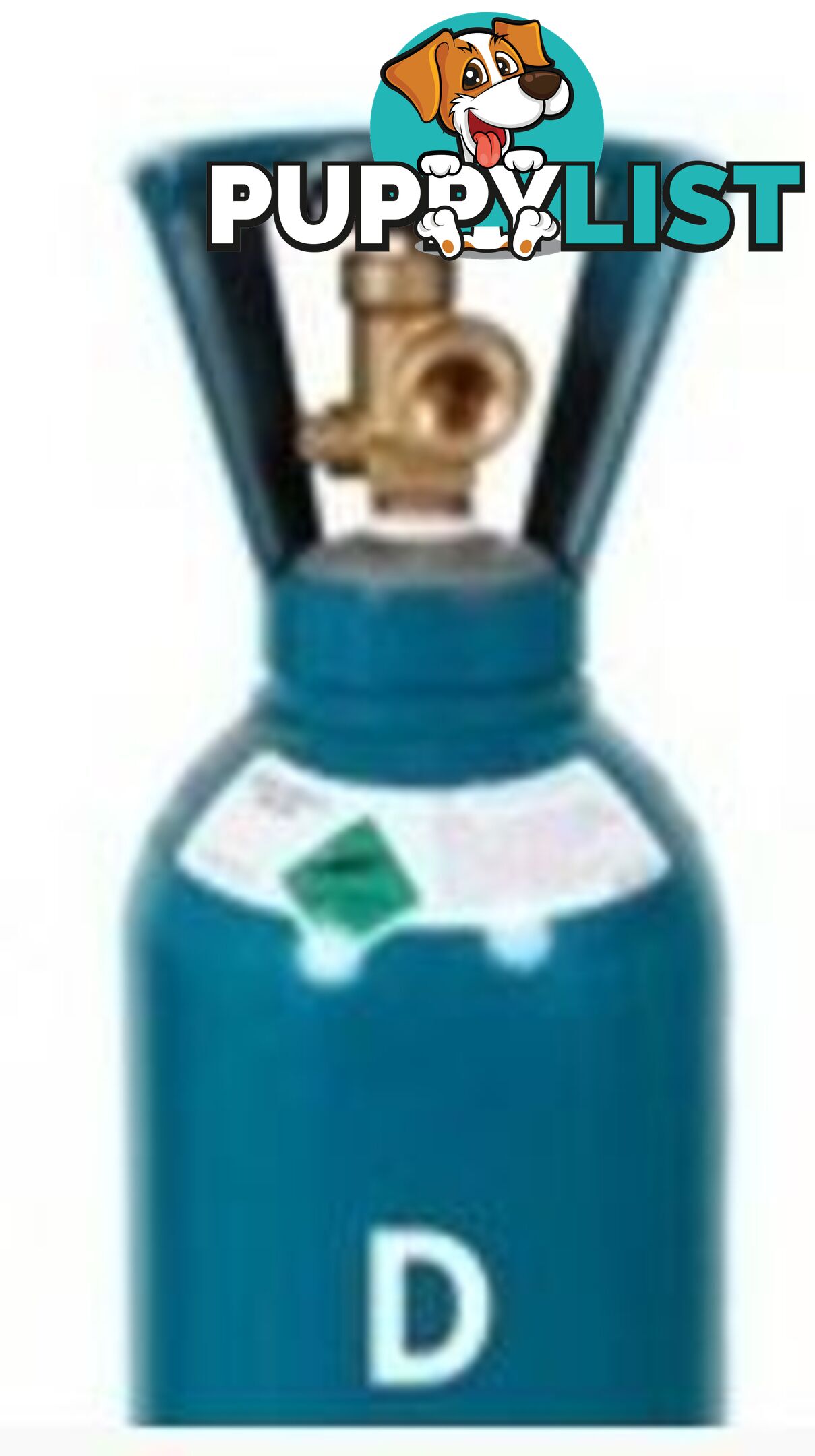 Size D 100% Pure Argon Gas Cylinder Including Gas GASARD