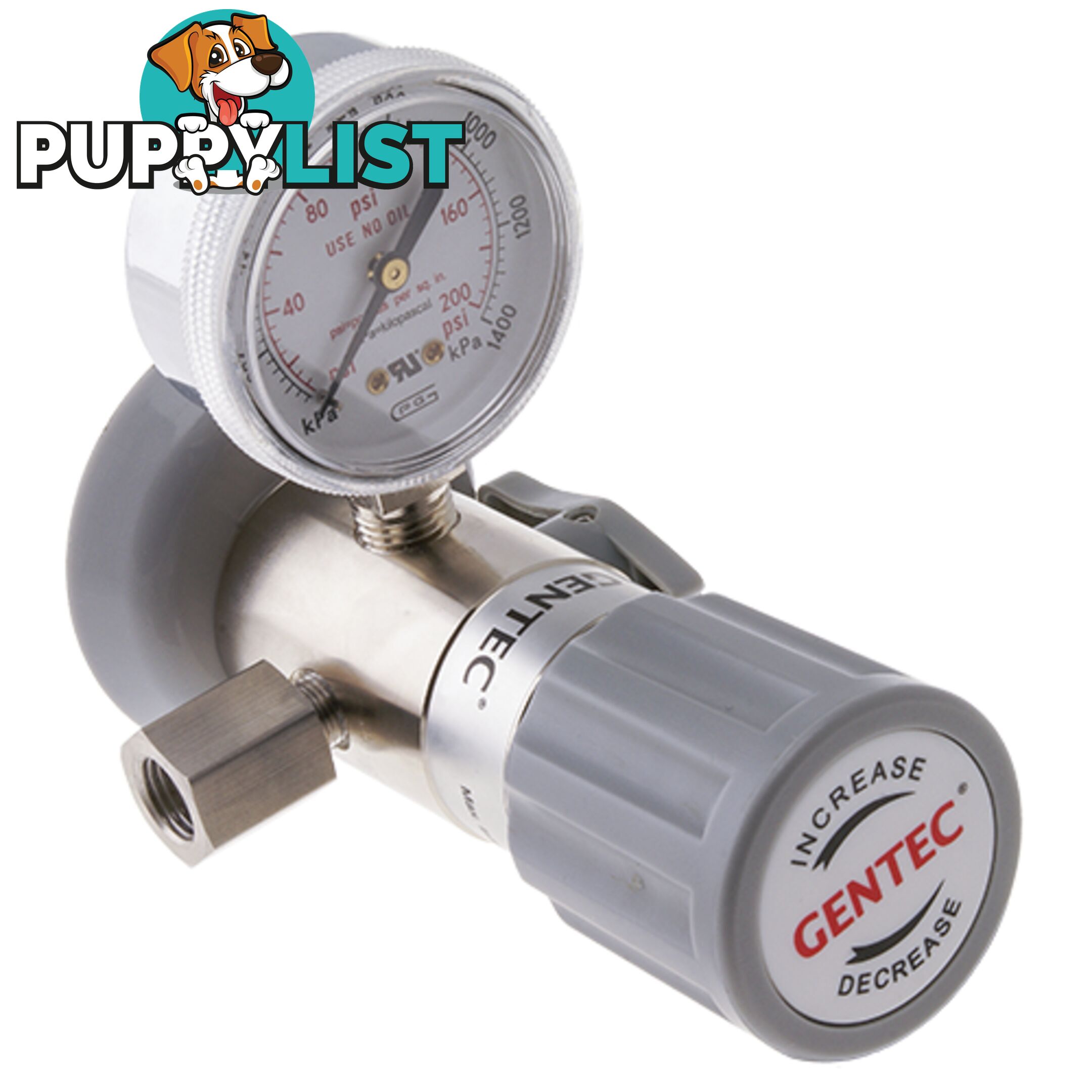 DruVa Plate Mounted Point of Use Regulator Plate Chrome Plated In: 4,000 kPa Out:100 kPa