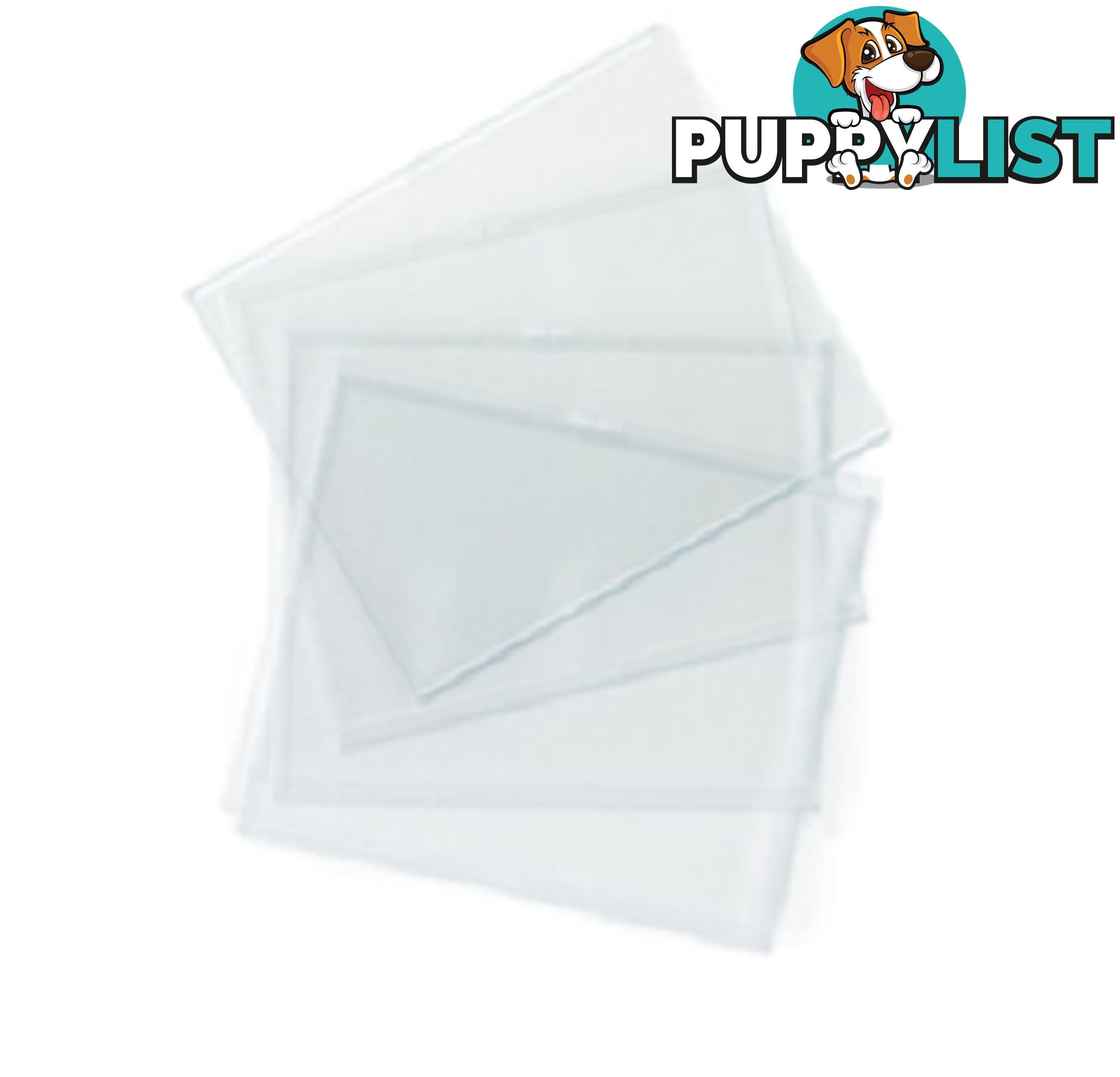 Clear Lens (Polycarbonate)