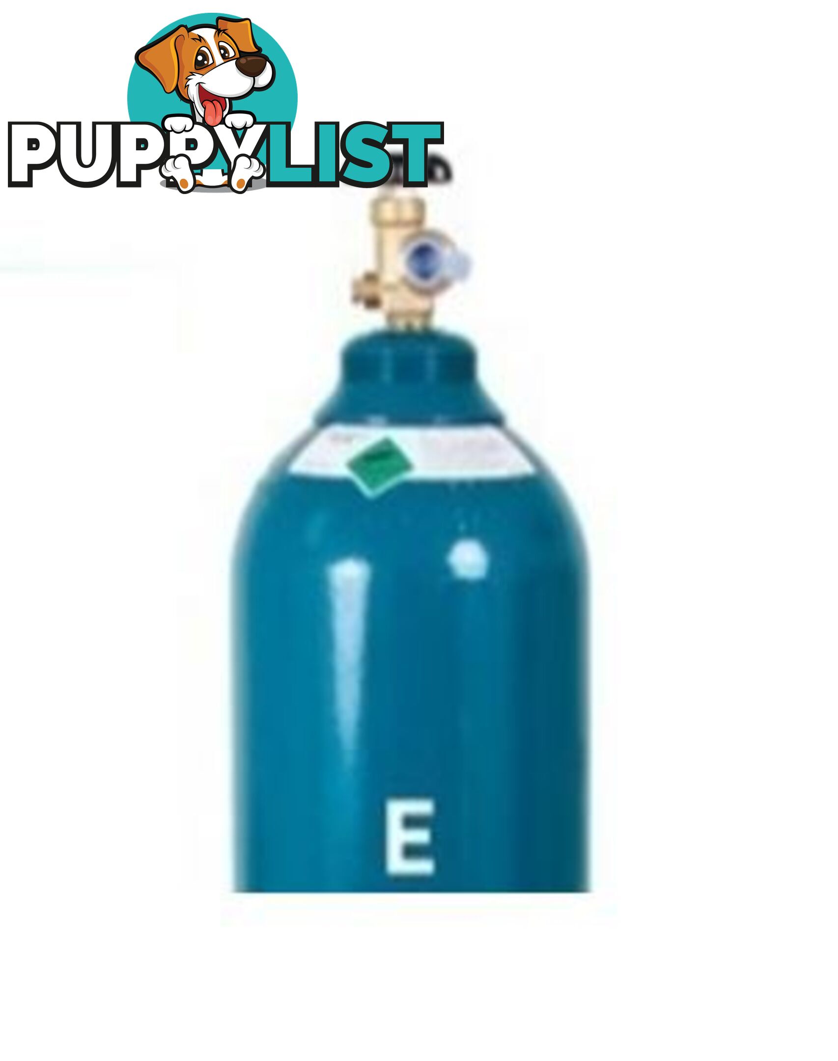 Size E 100% Pure Argon Gas Refill (No Cylinder) GasArE-re