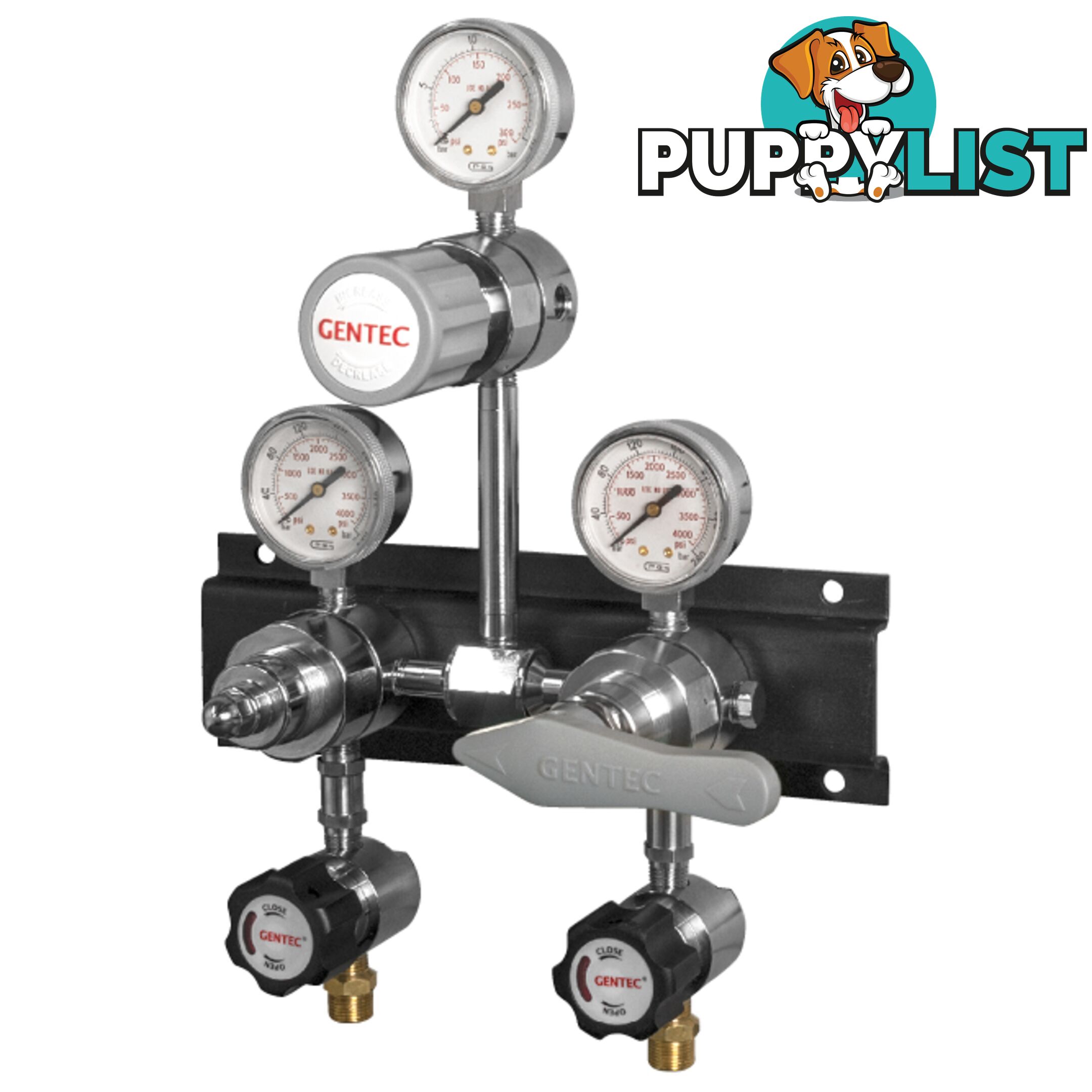 DruVa Auto-Changeover Manifold S/Auto Supply Panel 6.0 Purity Chrome Plated In: 23,000 kPa Out: 1,400 kPa