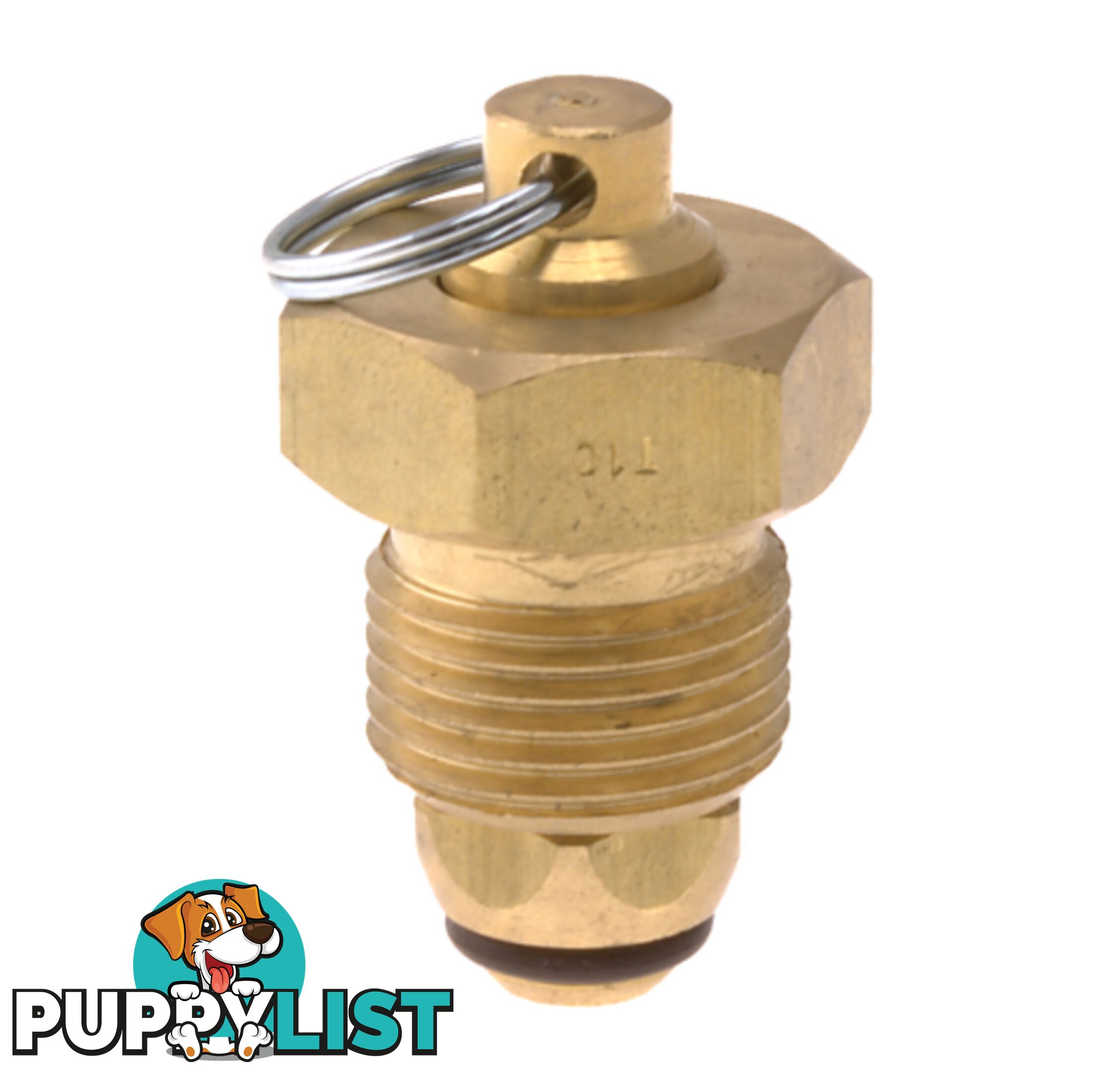 Blanking Plug Brass Tesuco