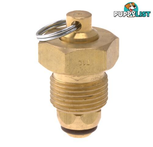 Blanking Plug Brass Tesuco