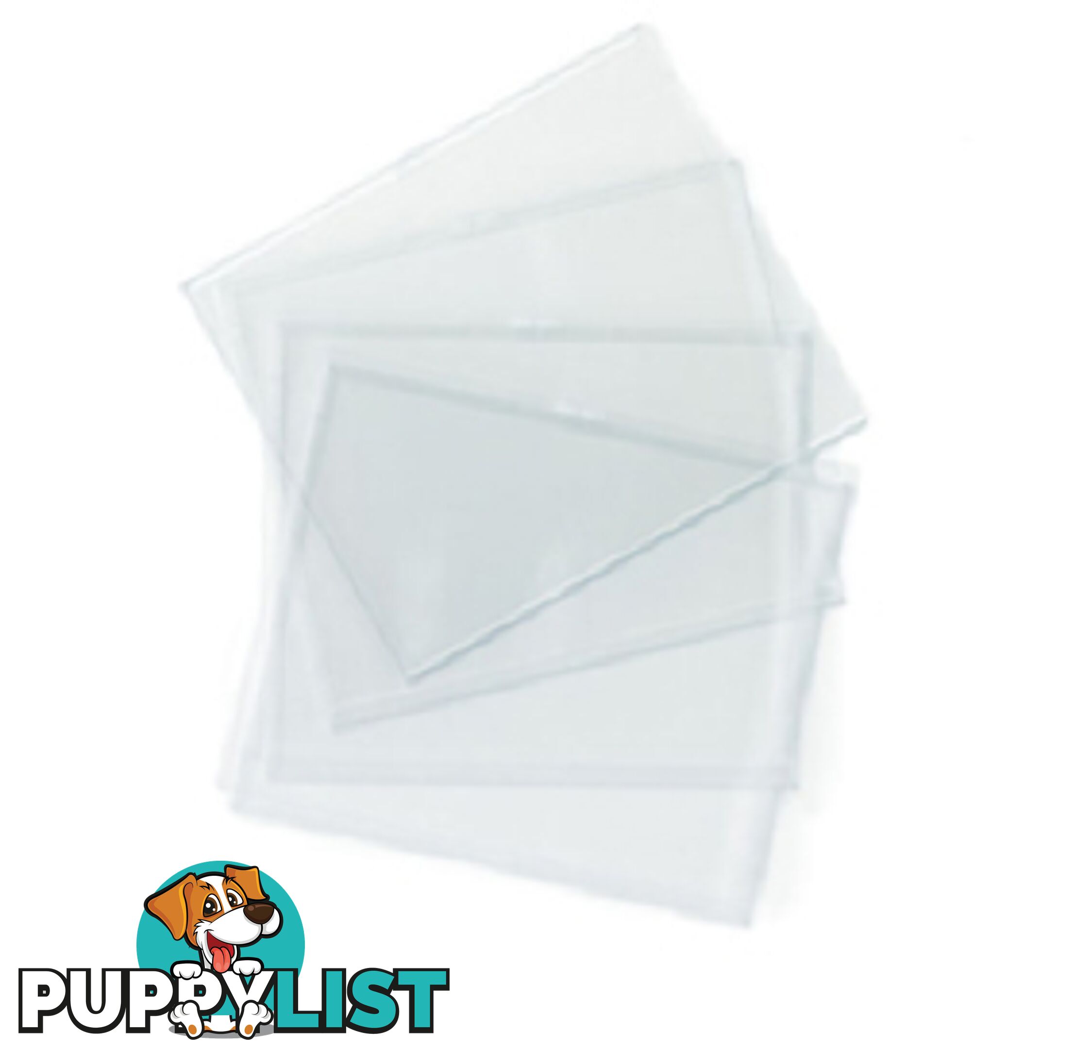 Clear Lens (Polycarbonate)