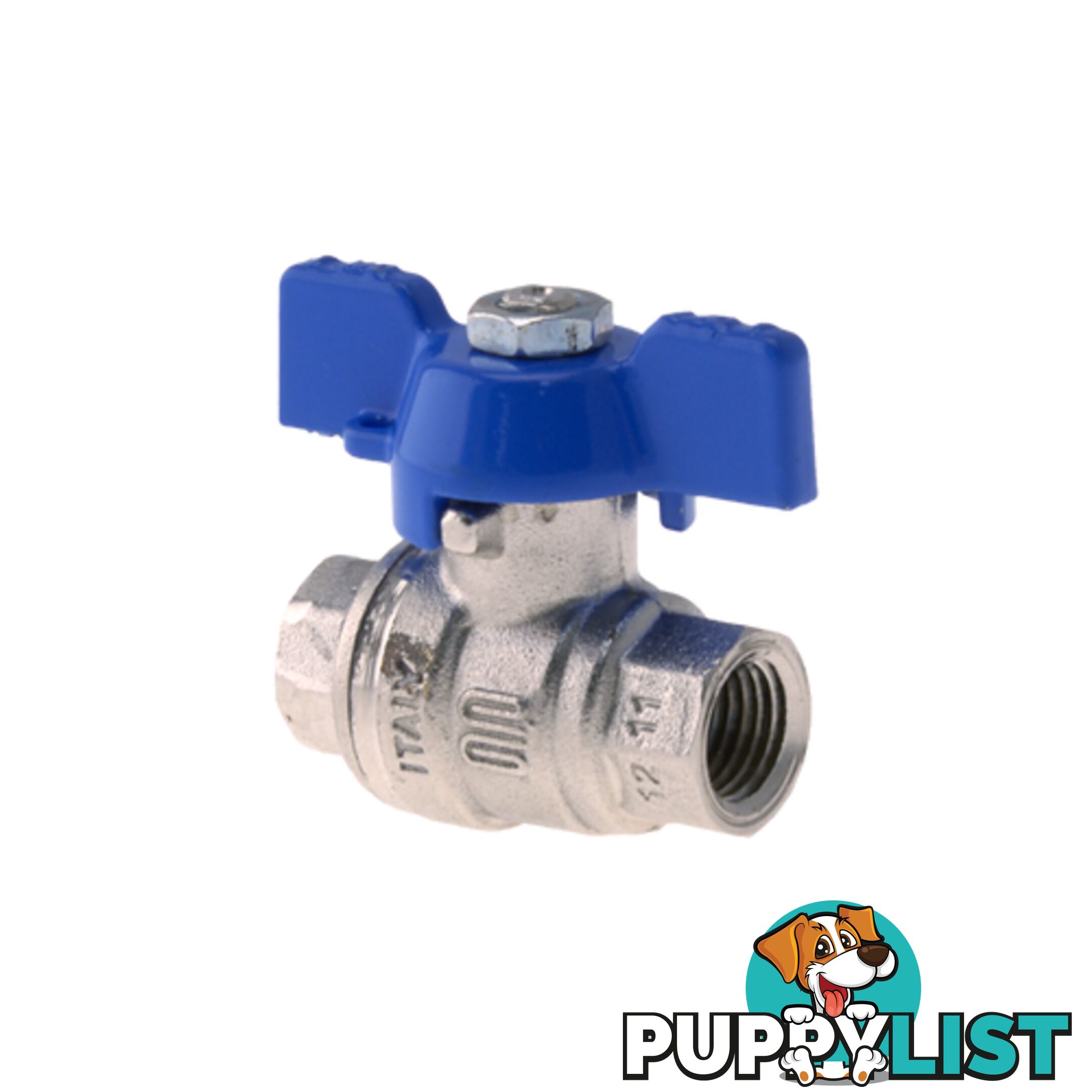 Ball Valve 1/4NPT Inert Gas Blue Handle Tesuco T-VA00707