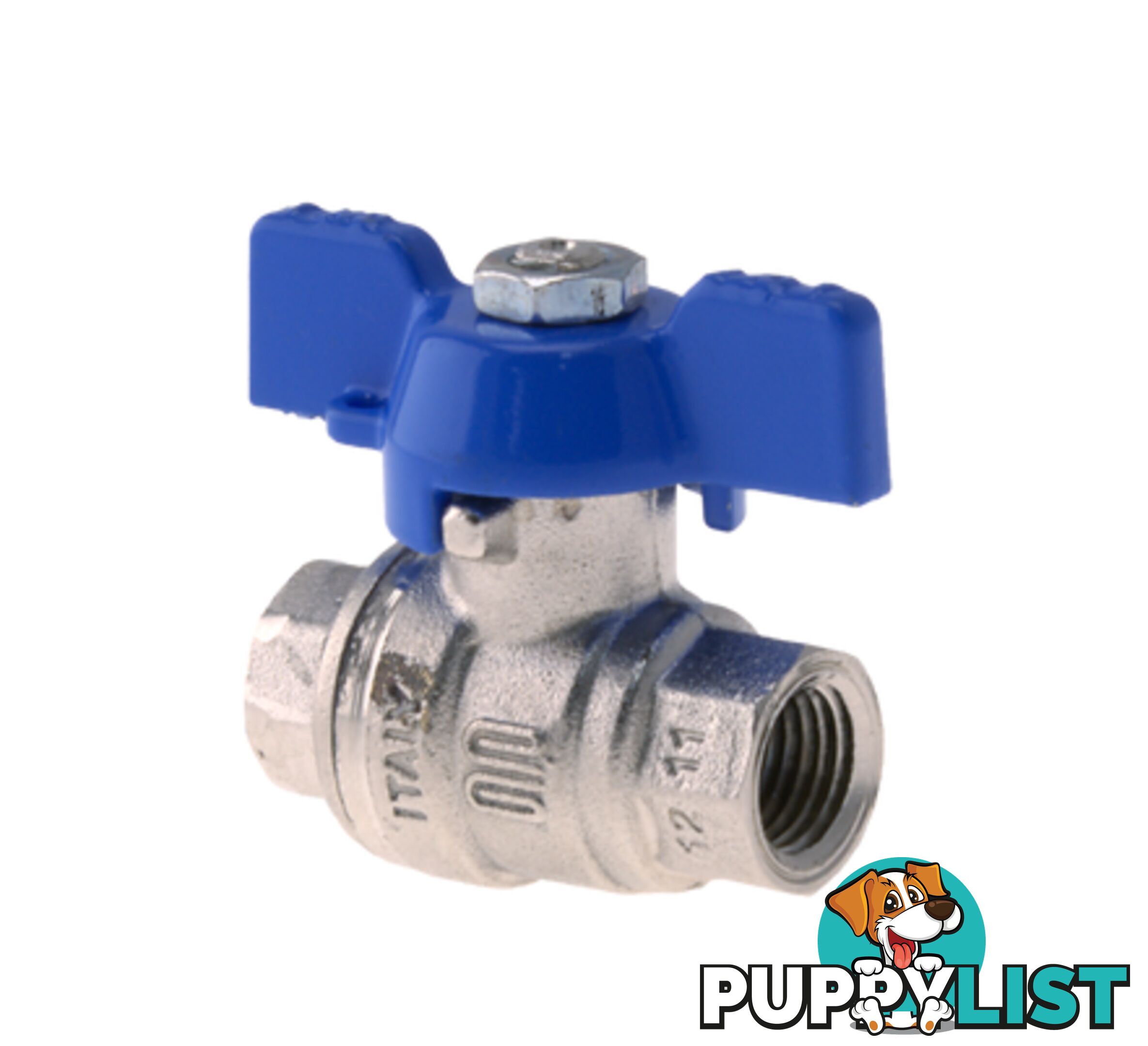 Ball Valve 1/4NPT Inert Gas Blue Handle Tesuco T-VA00707