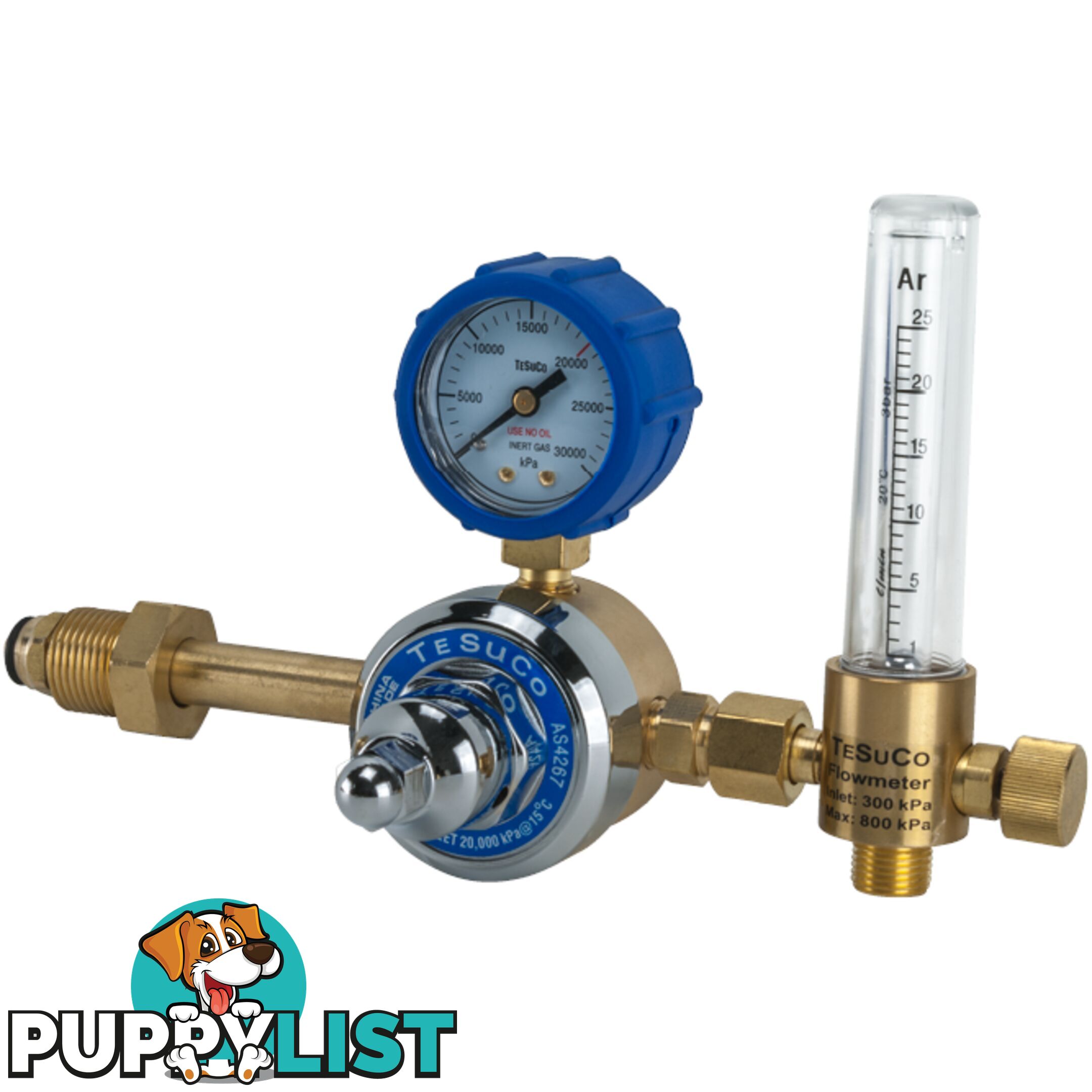 Regulator 1 Stage Side Entry Argon Type 10 In 20,000kPa RC1SARFM