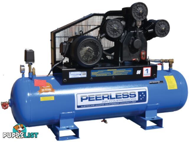 Compressor High Flow P55HF With 7.5KW / 10HP Electric Motor 00136