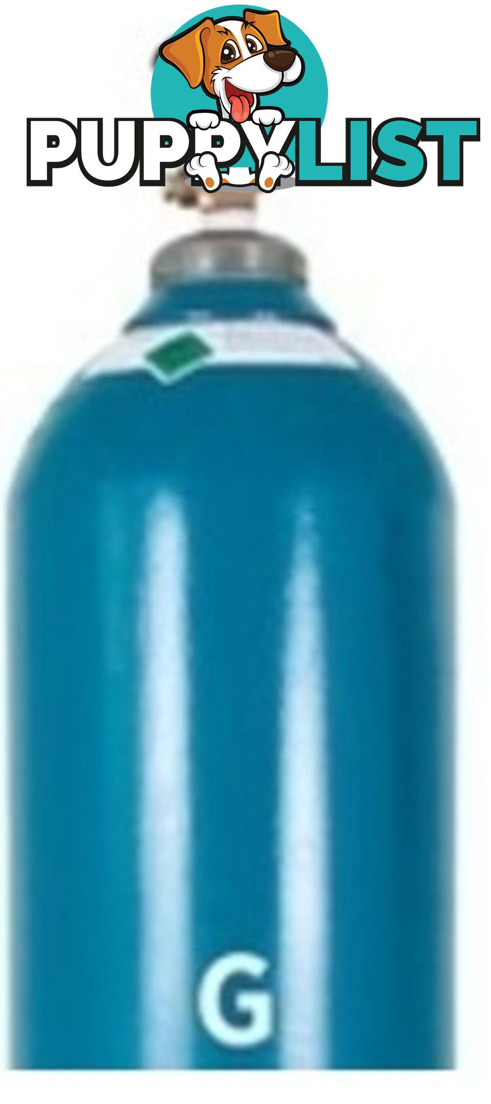 Size G 100% Pure Argon Gas Cylinder Including Gas GasArG