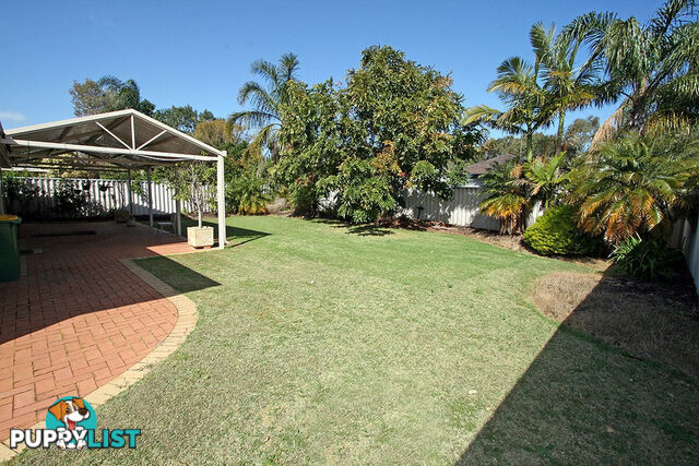 20 Wayford Mews ERSKINE WA 6210