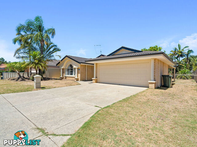 20 Wayford Mews ERSKINE WA 6210