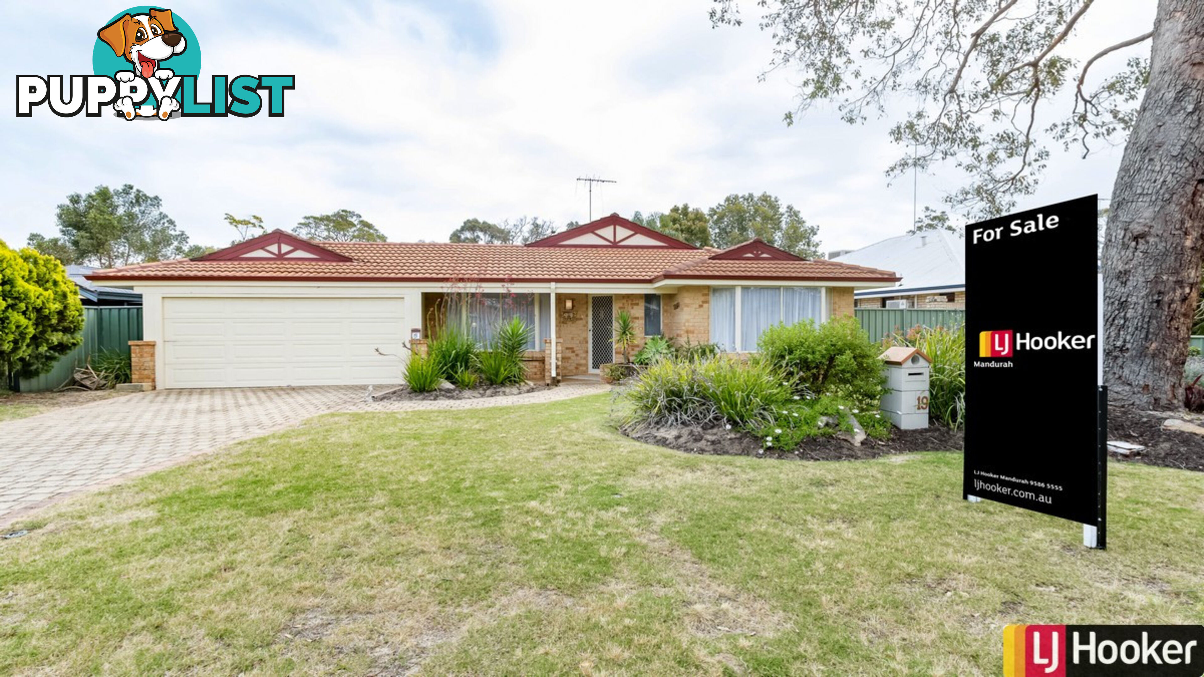 19 Willoughbridge Crescent ERSKINE WA 6210