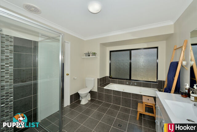 8 Penrith Street DUDLEY PARK WA 6210