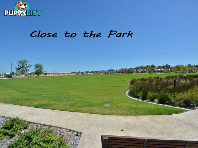 19 Grafton Rise BALDIVIS WA 6171