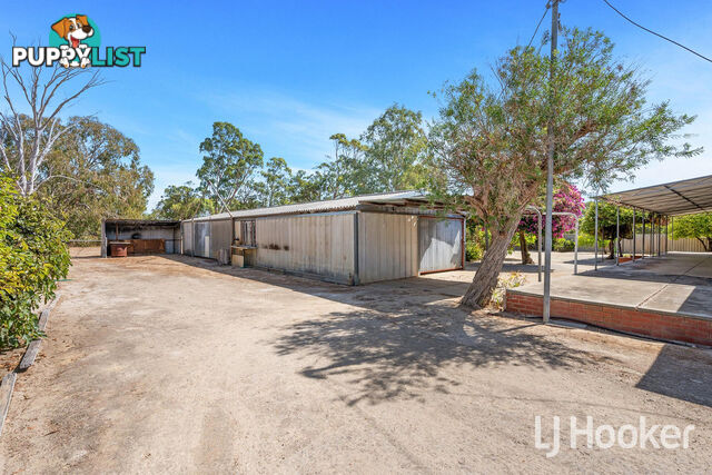 55 Hougham Road BARRAGUP WA 6209