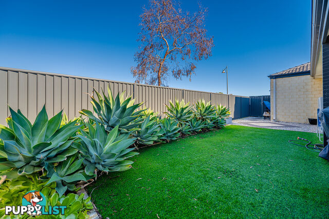 12 Peto Close BALDIVIS WA 6171