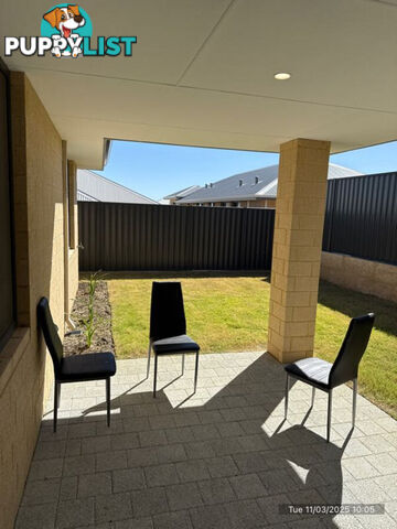 20 Lauderdale Road MADORA BAY WA 6210