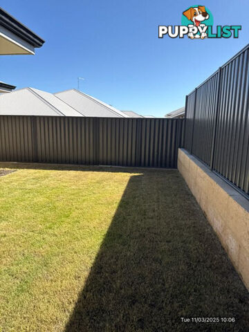 20 Lauderdale Road MADORA BAY WA 6210