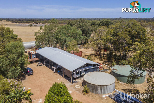 309 Carrabungup Road NIRIMBA WA 6208