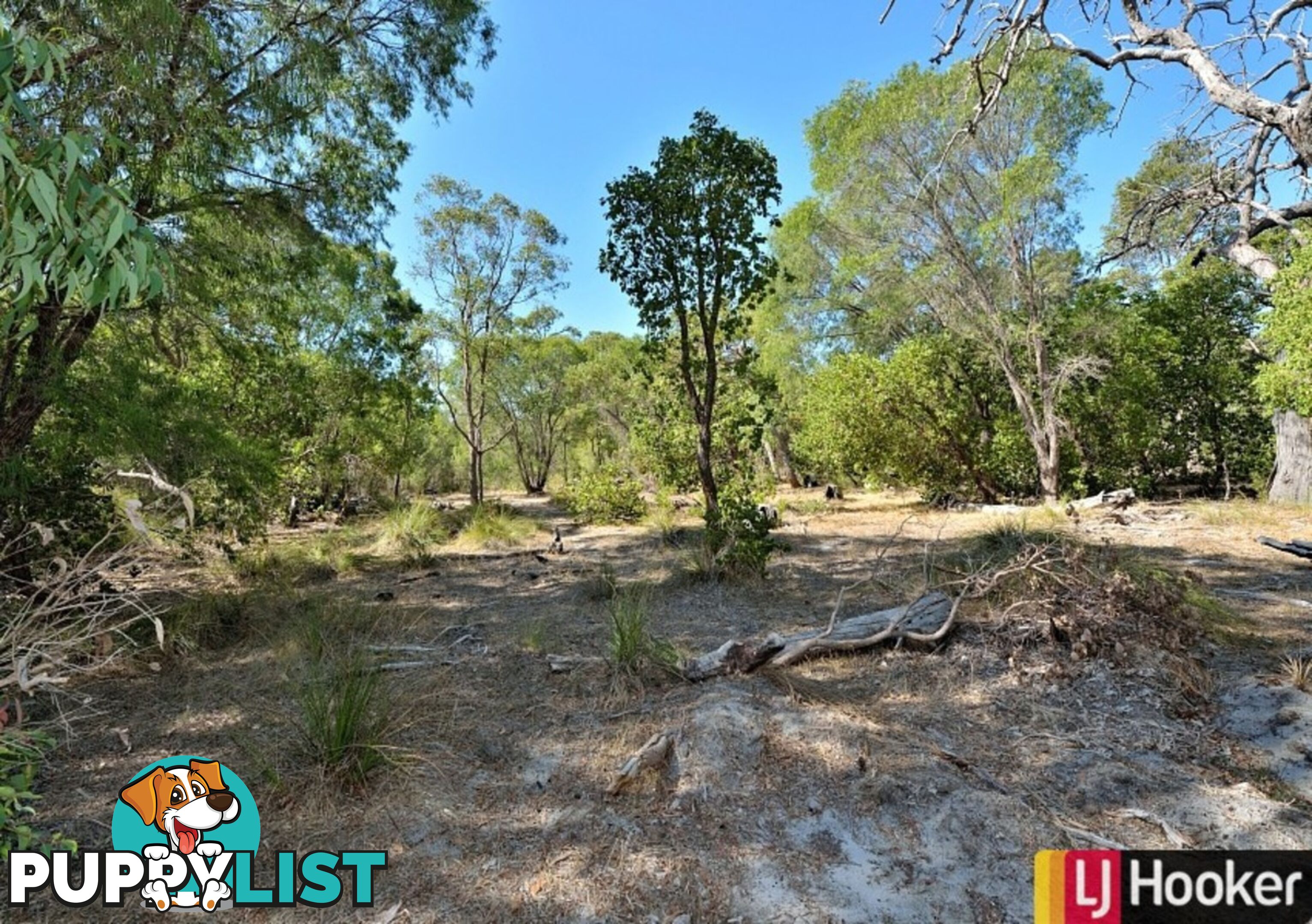 Lot 956 Stacey Rise LAKE CLIFTON WA 6215