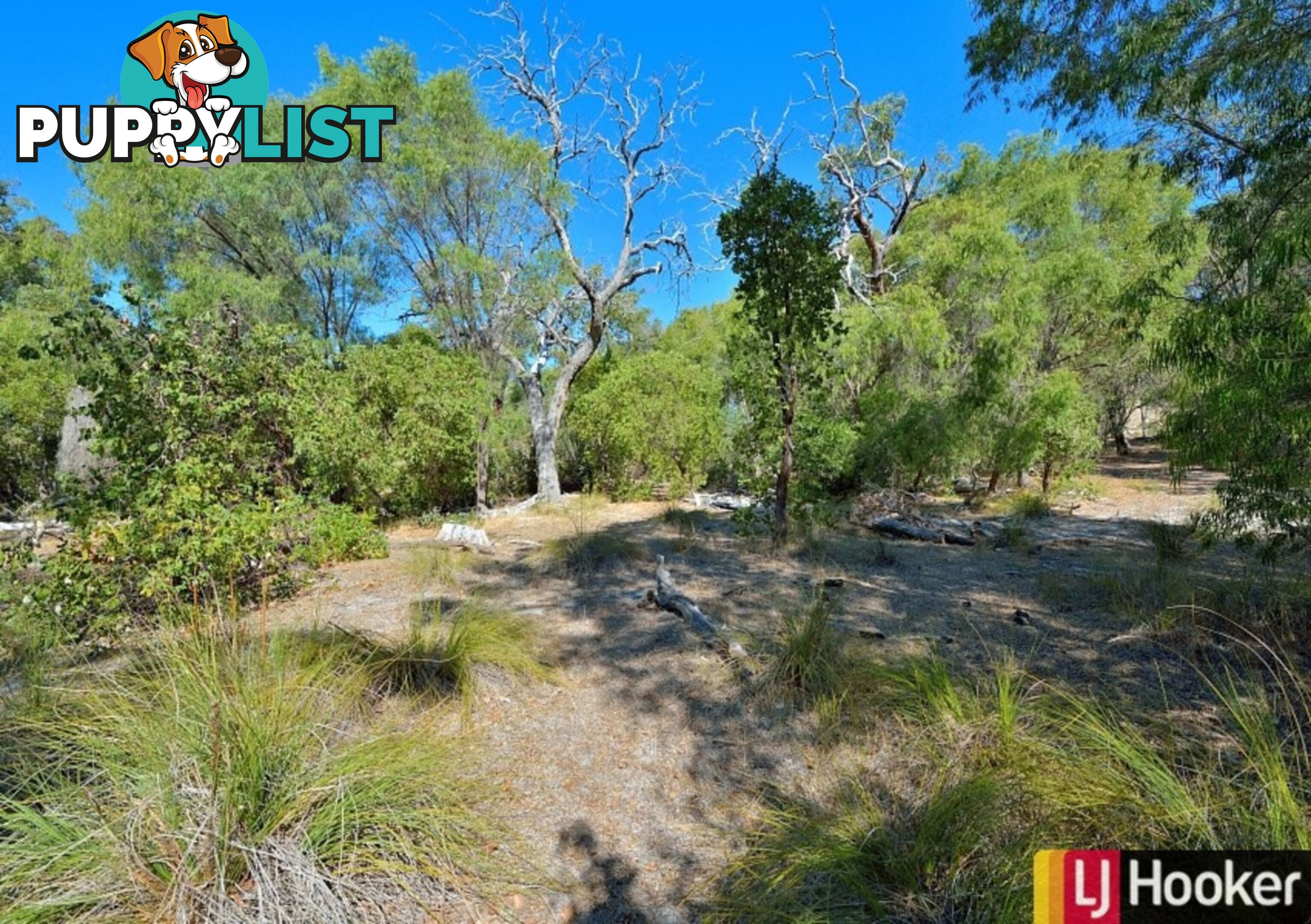 Lot 956 Stacey Rise LAKE CLIFTON WA 6215