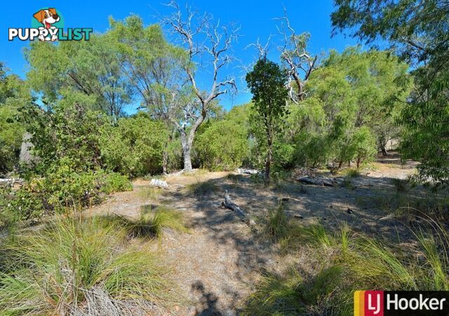 Lot 956 Stacey Rise LAKE CLIFTON WA 6215