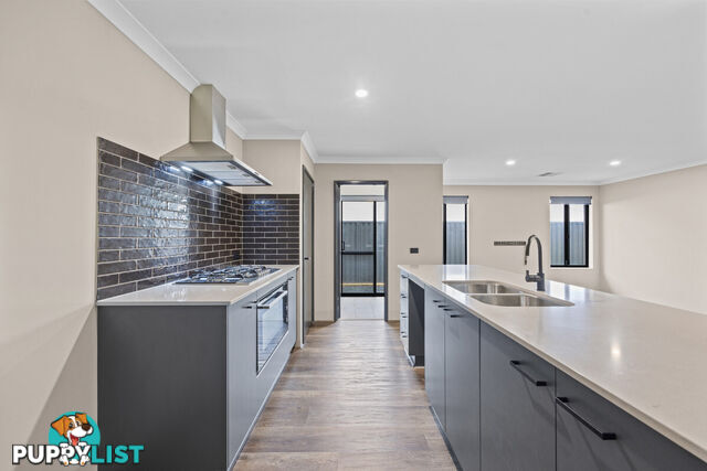 36 Sarasota Loop MADORA BAY WA 6210