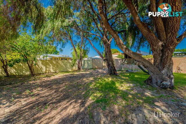 7 Albion Road MADORA BAY WA 6210