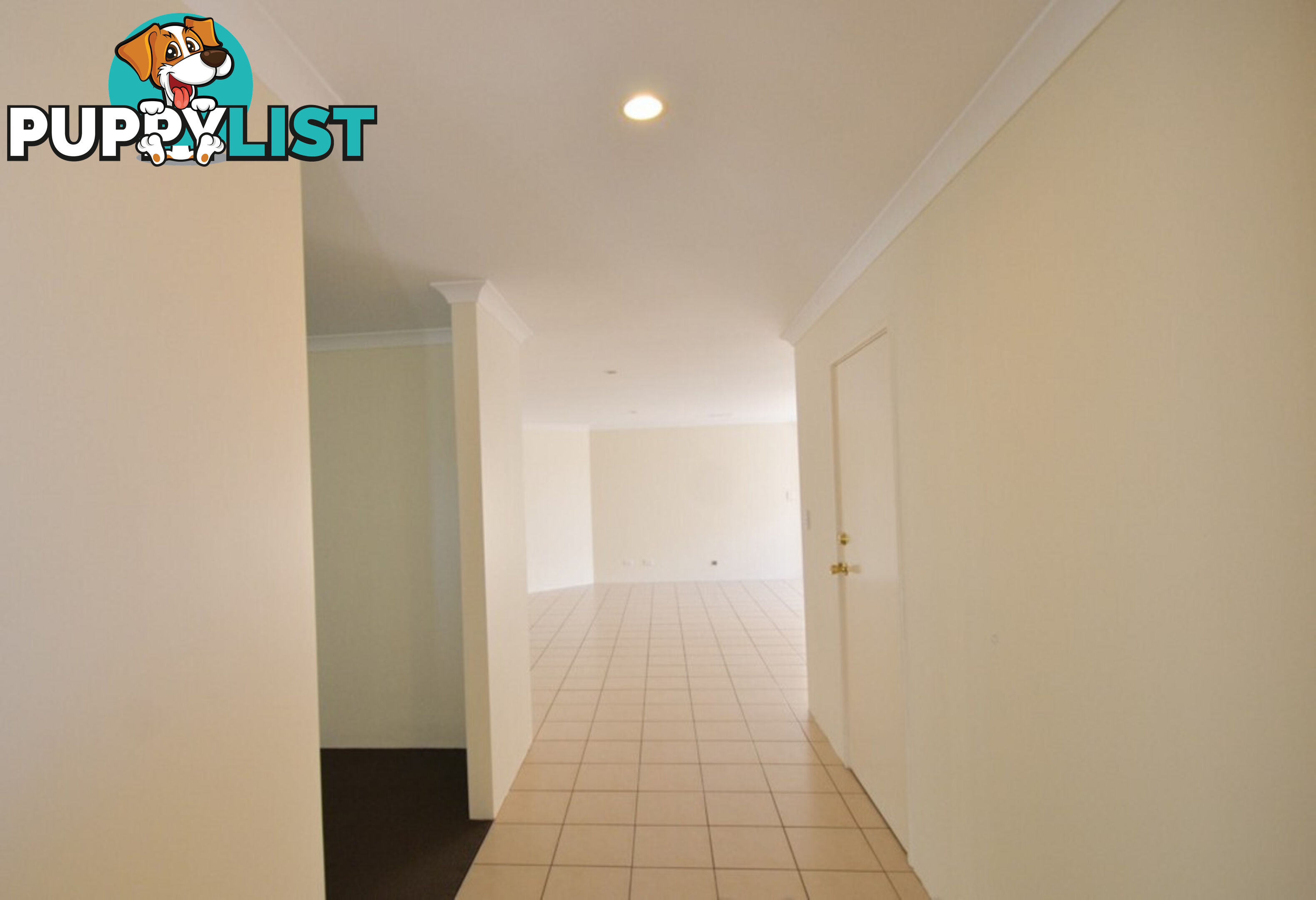 6 Orchid Drive WANNANUP WA 6210