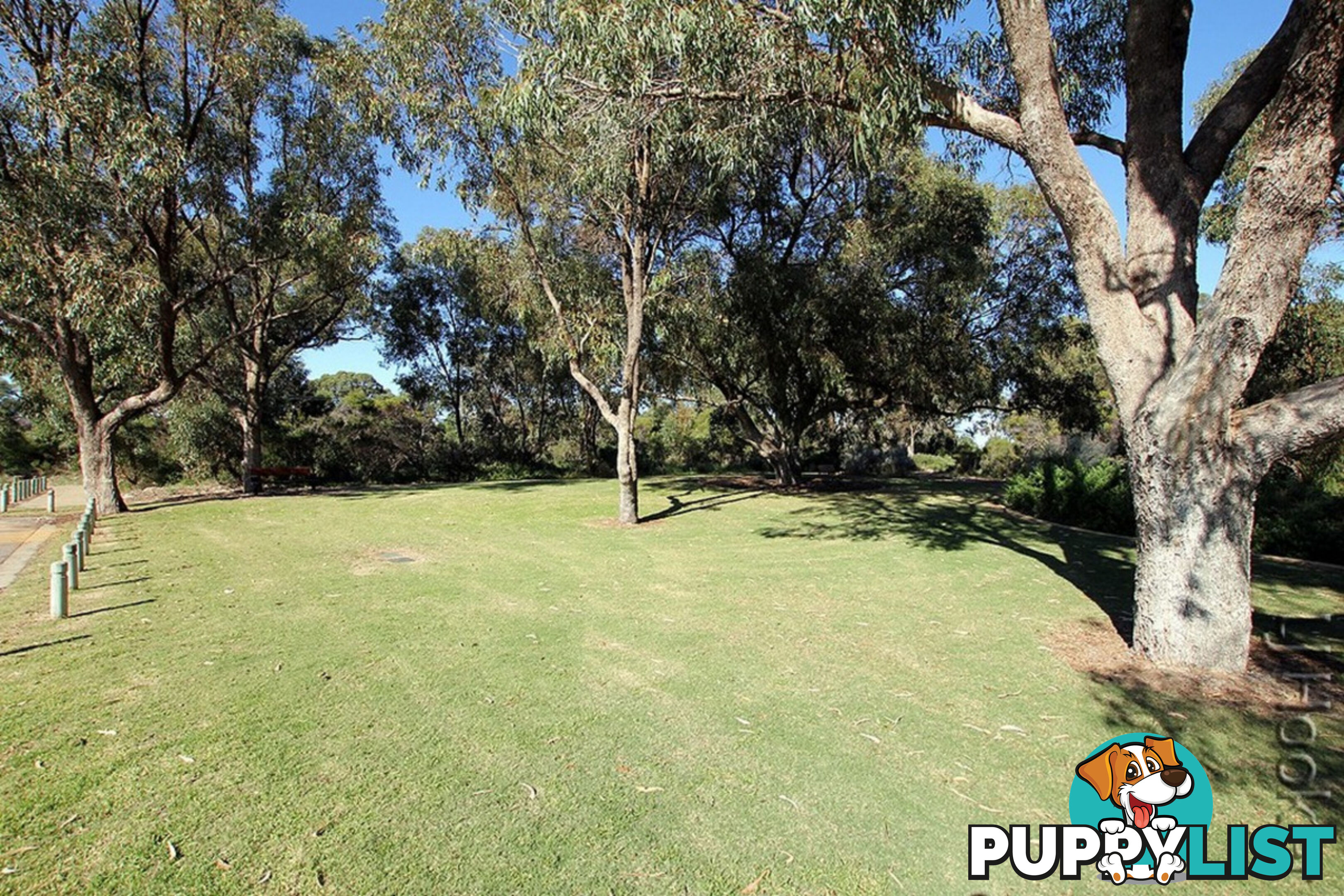 16 Eliza Pass MADORA BAY WA 6210