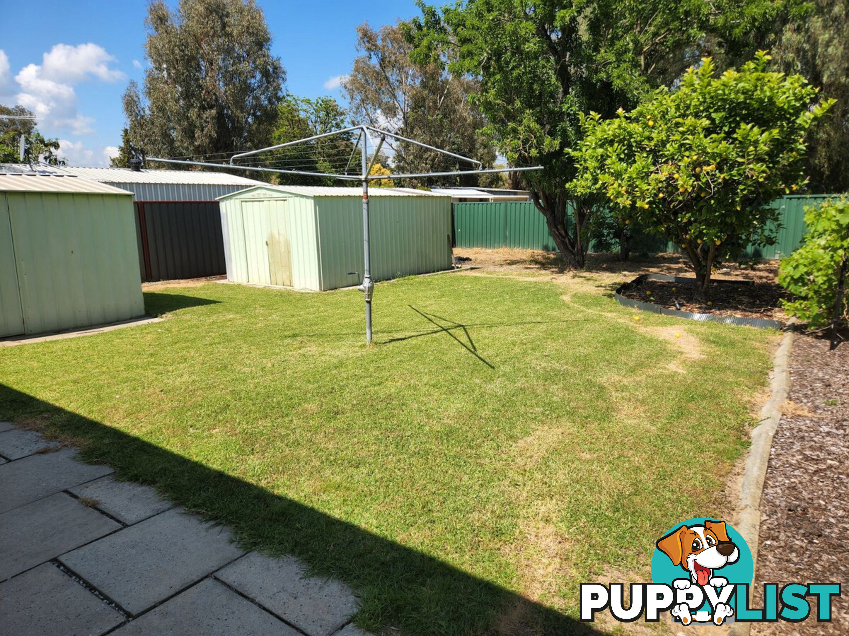 36 James Street PINJARRA WA 6208
