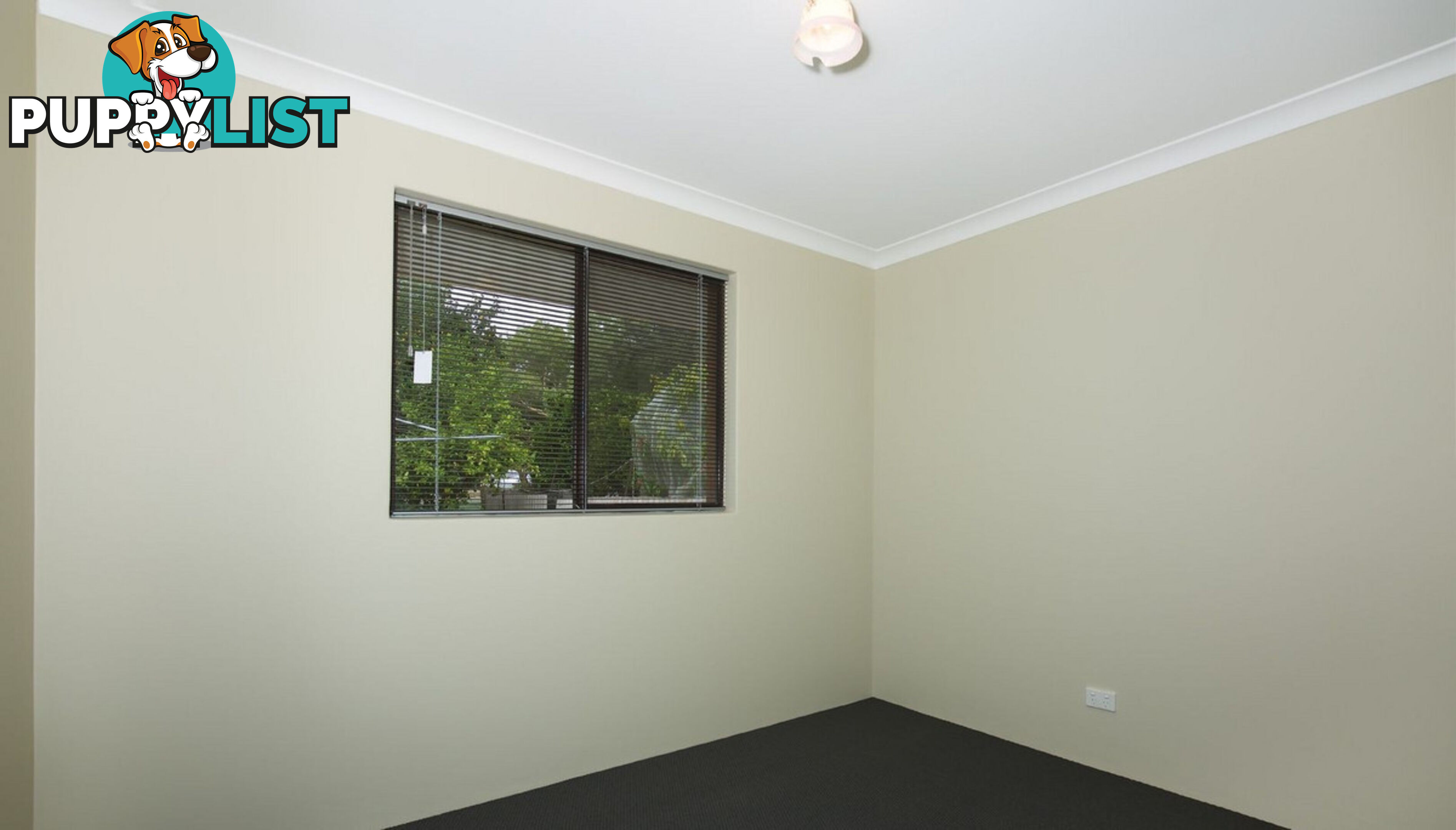 36 James Street PINJARRA WA 6208