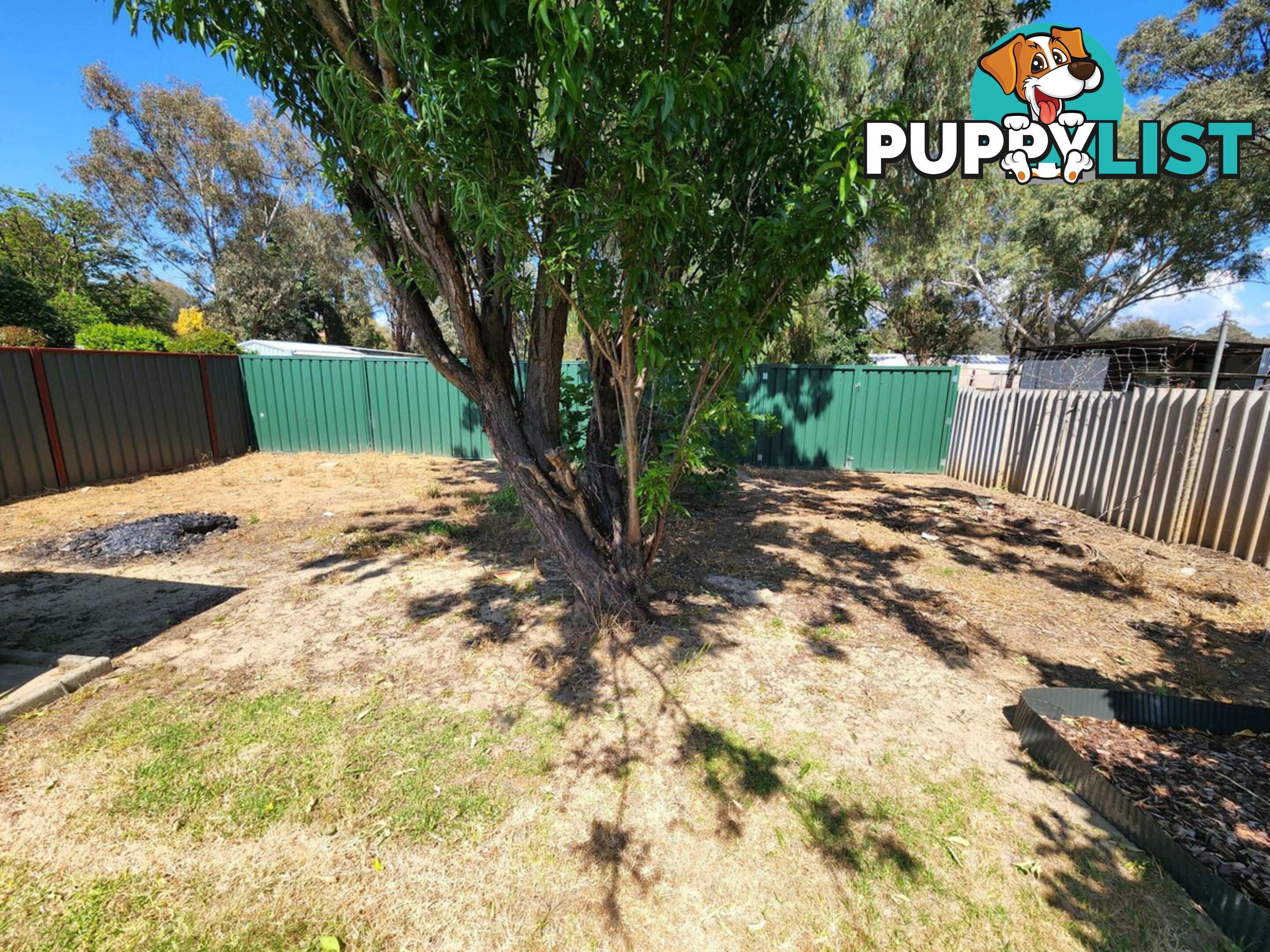 36 James Street PINJARRA WA 6208