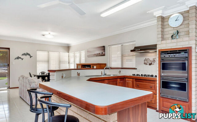20 Dalrymple Terrace HALLS HEAD WA 6210