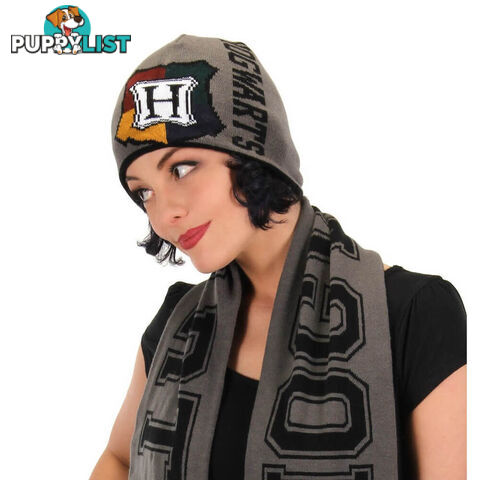 Harry Potter Reversible Knit Beanie - IHPRKB01