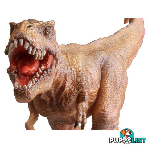 Soft PVC Tyrannosaurus Rex - SPVCTR01 - 6970442050328