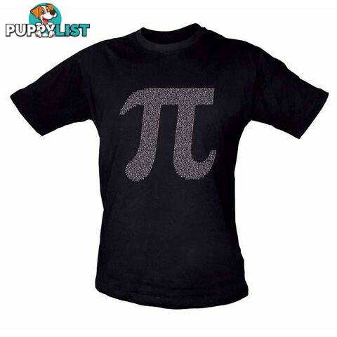 Geeks Pi T-Shirt - GKS03