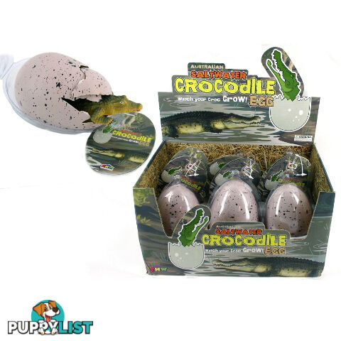 Hatching Crocodile Egg - HTC02 - 9319374021537